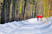 Возьмите за правило гулять зимой чаще!